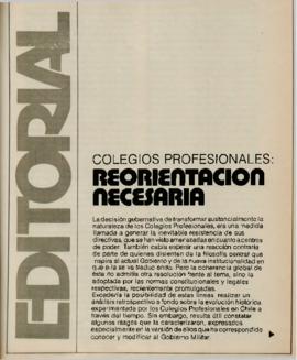 Editorial "Colegios profesionales: reorientación necesaria", Realidad año 2, número 22