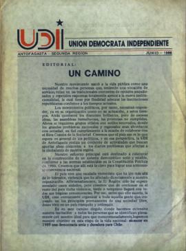 Boletín Informativo UDI Antofagasta
