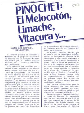 Pinochet: El melocotón, Limache, Vitacura y...